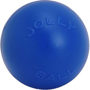 Jolly Pets Push-n-Play Dog Toy, 25 cm, Blue