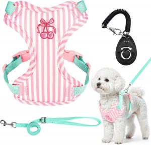 Adjustable Dog Vest Harness and Leash Set,Soft Mesh Puppy Ha...