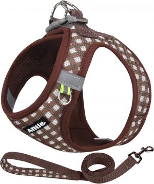 AIITLE Easy Walk Dog Vest Harness and Leash Set, Pet Supply ...