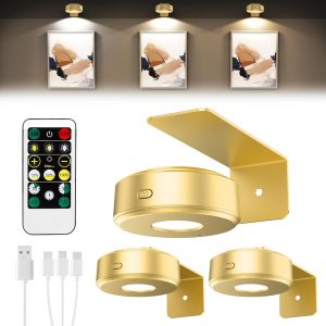 Lightbiz 3 Pack Wireless Picture Light for Wall，Rechargeable...